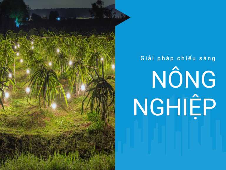 Giải pháp chiếu sáng nông nghiệp