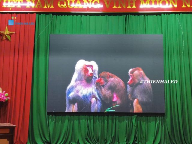 Màn hình Led hội trường