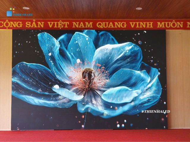 Màn hình Led P3.0 indoor tại TP Vinh, Nghệ An