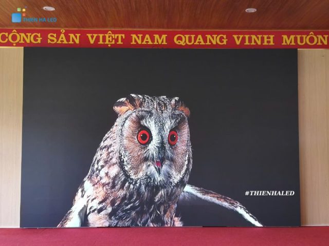 Màn hình Led P3.0 indoor tại TP Vinh, Nghệ An